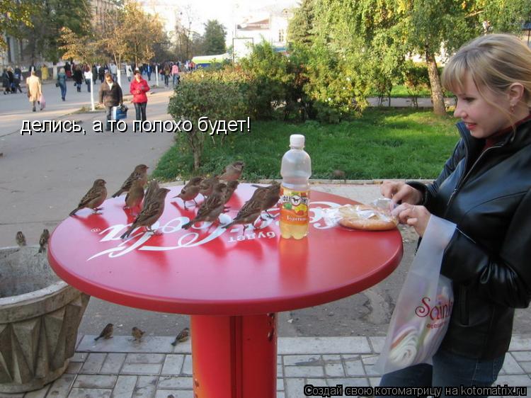 Котоматрица: делись, а то полохо будет!