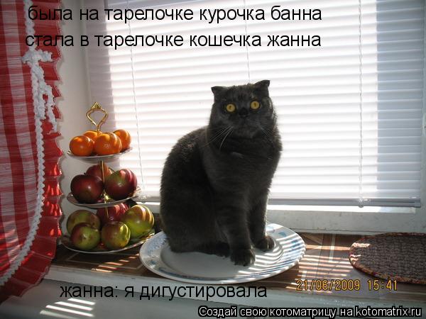 Котоматрица: была на тарелочке курочка банна стала в тарелочке кошечка жанна жанна: я дигустировала