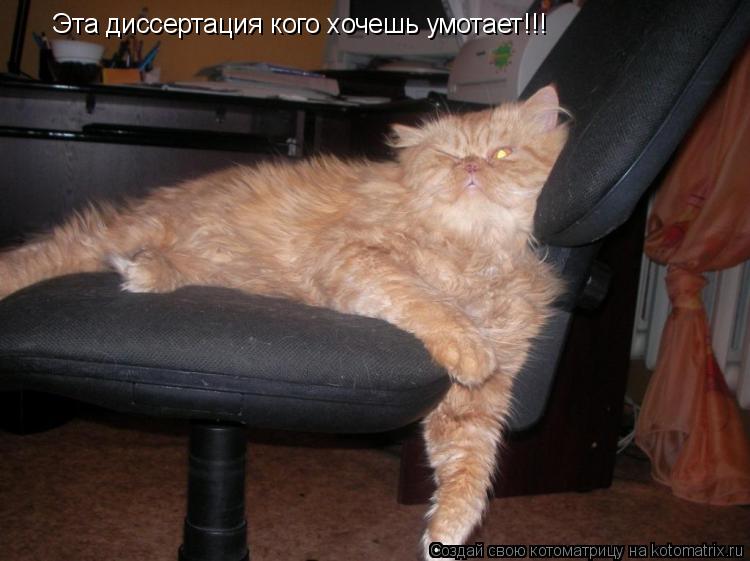 Эта диссертация кого хочешь умотает!!!... Котоматрица: Эта диссертация кого хочешь умотает!!!