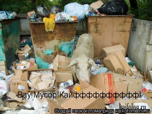Котоматрица: Вау!Мусор!Кайфффффффффф!