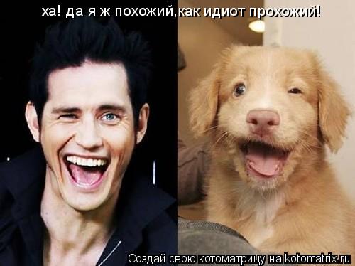 Котоматрица: ха! да я ж похожий,как идиот прохожий!