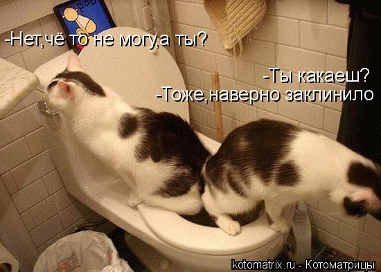 -Ты какаеш? -Нет,чё то не могу,а ты? -Тоже,наверно заклинило... Котоматрица: -Ты какаеш? -Нет,чё то не могу,а ты? -Тоже,наверно заклинило