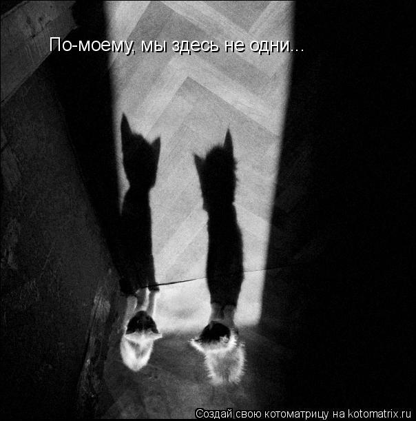 По-моему, мы здесь не одни...... Котоматрица: По-моему, мы здесь не одни...