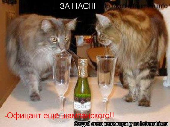 ЗА НАС!!! -Офицант ещё шампанского!!... Котоматрица: ЗА НАС!!! -Офицант ещё шампанского!!