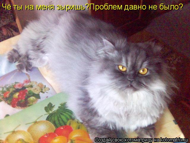 Чё ты на меня зыришь?Проблем давно не было?... Котоматрица: Чё ты на меня зыришь?Проблем давно не было?