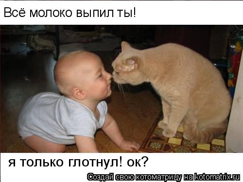 Всё молоко выпил ты! я только глотнул! ок?... Котоматрица: Всё молоко выпил ты! я только глотнул! ок?