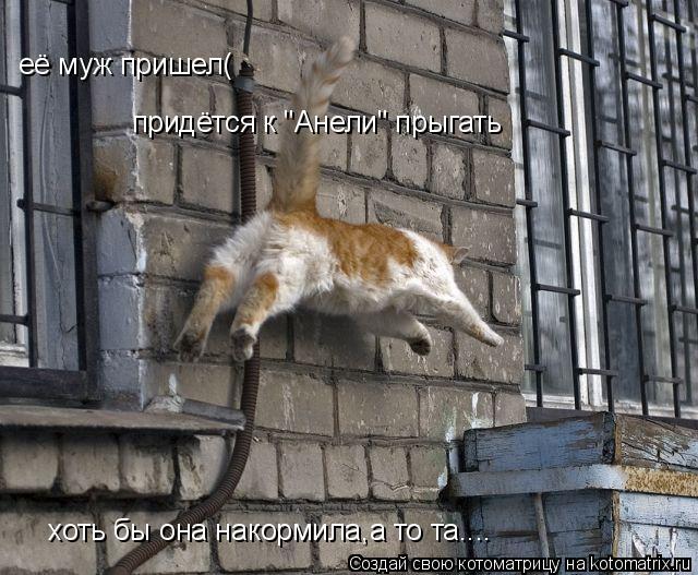 её муж пришел( придётся к "Анели" прыгать хоть бы она накормила,а то та....... Котоматрица: её муж пришел( придётся к "Анели" прыгать хоть бы она накормила,а то та....