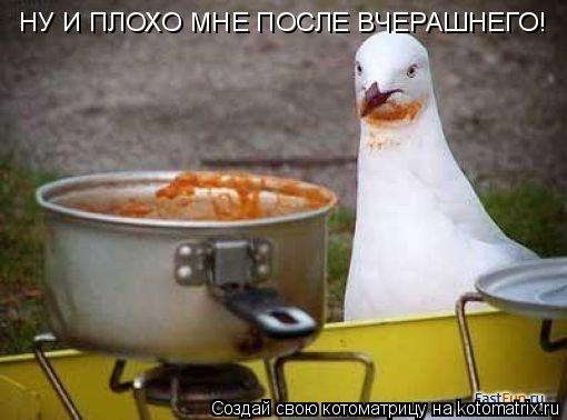 Котоматрица: НУ И ПЛОХО МНЕ ПОСЛЕ ВЧЕРАШНЕГО!