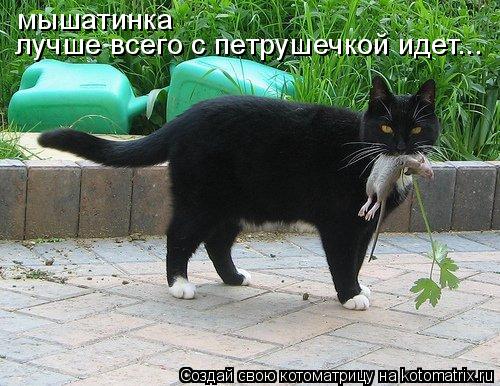 Котоматрица: мышатинка лучше всего с петрушечкой идет...