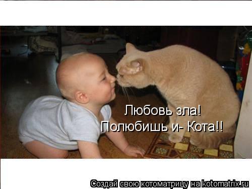 Котоматрица: Любовь зла! Полюбишь и- Кота!!