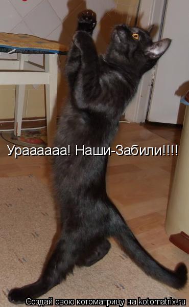 Котоматрица: Ураааааа! Наши-Забили!!!!