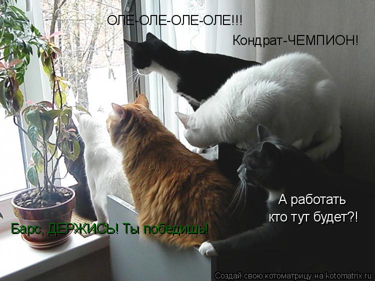 Котоматрица: ОЛЕ-ОЛЕ-ОЛЕ-ОЛЕ!!! Кондрат-ЧЕМПИОН! Барс, ДЕРЖИСЬ! Ты победишь! А работать кто тут будет?!