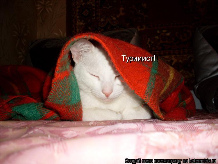 Котоматрица: Турииист!!