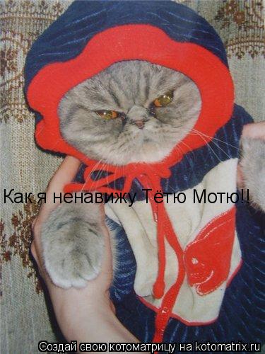Как я ненавижу Тётю Мотю!!... Котоматрица: Как я ненавижу Тётю Мотю!!
