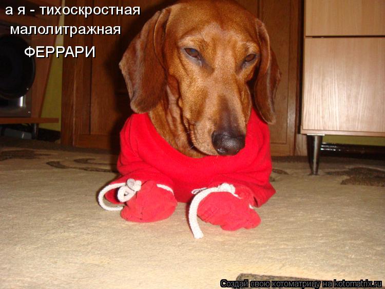Котоматрица: а я - тихоскростная малолитражная ФЕРРАРИ