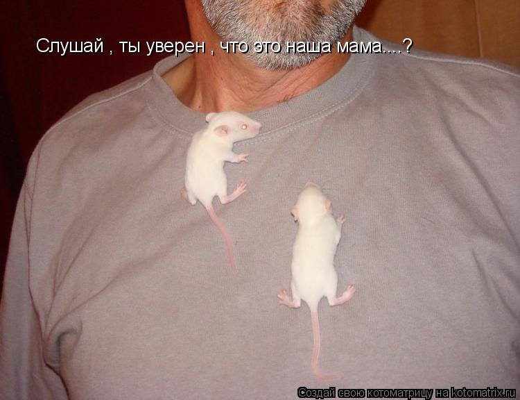 Котоматрица: Слушай , ты уверен , что это наша мама....?