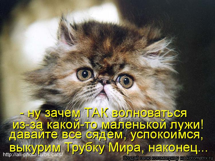 - ну зачем ТАК волноваться из-за какой-то маленькой лужи! давайте все сядем, успокоимся, выкурим Т... Котоматрица: - ну зачем ТАК волноваться из-за какой-то маленькой лужи! давайте все сядем, успокоимся, выкурим Трубку Мира, наконец...