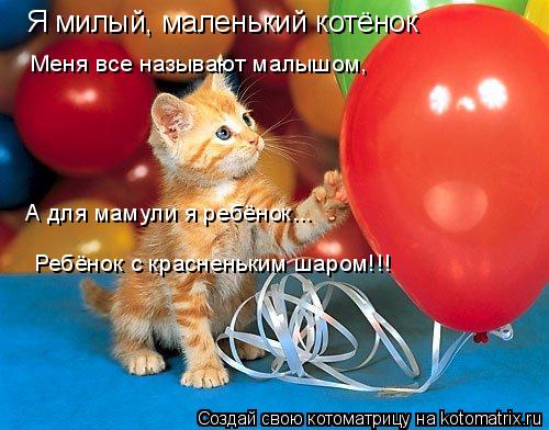 Котоматрица: Я милый, маленький котёнок Меня все называют малышом, А для мамули я ребёнок... Ребёнок с красненьким шаром!!!
