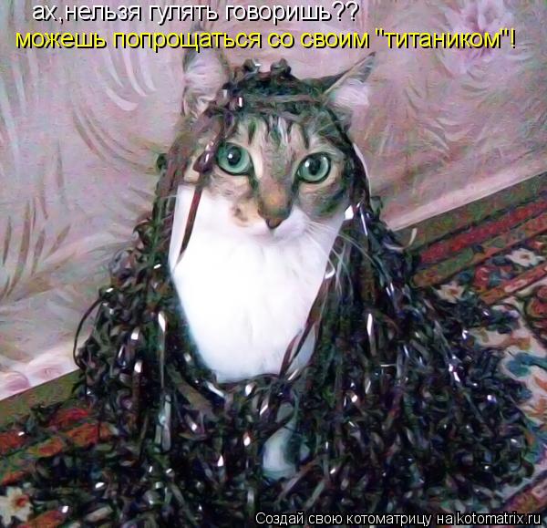 Котоматрица: ах,нельзя гулять говоришь?? можешь попрощаться со своим "титаником"!
