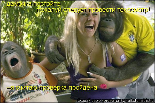 Котоматрица: дамочка постойте.  пожалуй следует провести техосмотр! --я считаю-проверка пройдена