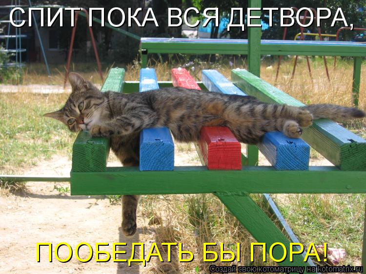 Котоматрица: СПИТ ПОКА ВСЯ ДЕТВОРА, ПООБЕДАТЬ БЫ ПОРА!
