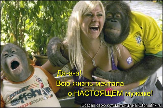 Котоматрица: Да-а-а! Всю жизнь мечтала о НАСТОЯЩЕМ мужике!