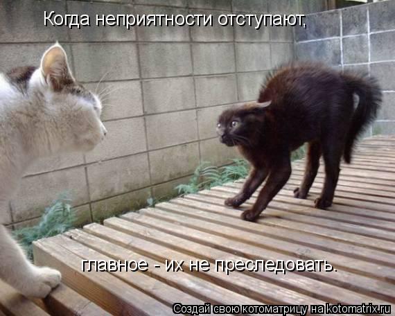 Котоматрица: Когда неприятности отступают,  главное - их не преследовать.