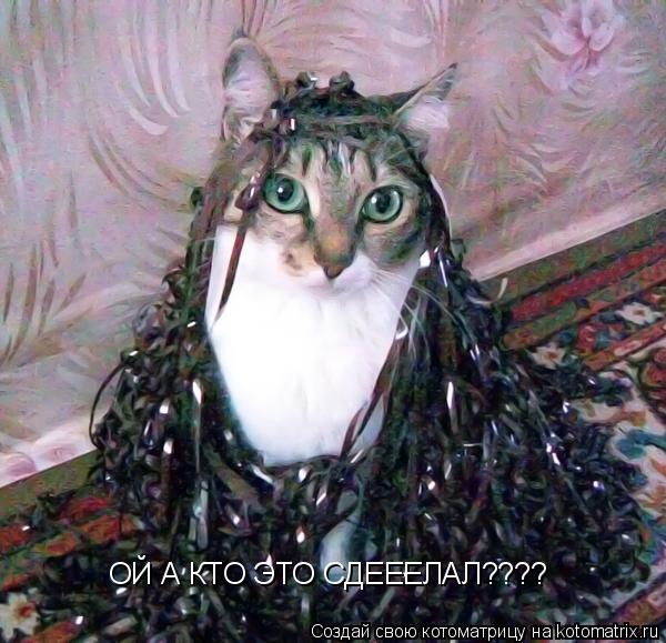 Котоматрица: ОЙ А КТО ЭТО СДЕЕЕЛАЛ????