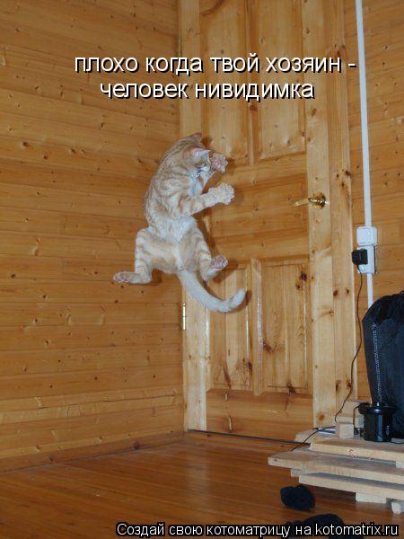 Котоматрица: плохо когда твой хозяин -  человек нивидимка
