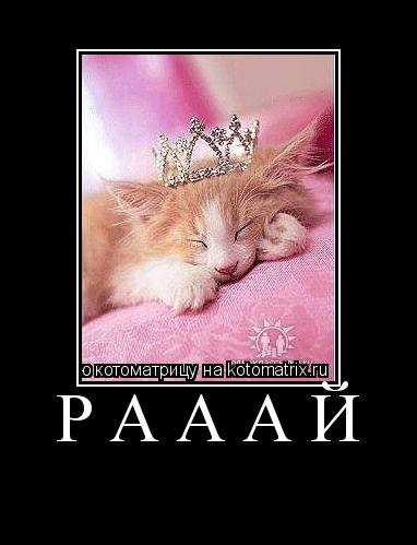 РАААЙ ... Котоматрица: РАААЙ