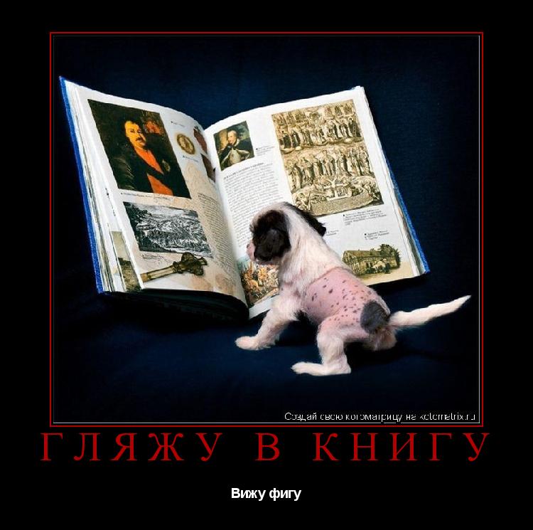 Гляжу в книгу Вижу фигу... Котоматрица: Гляжу в книгу Вижу фигу