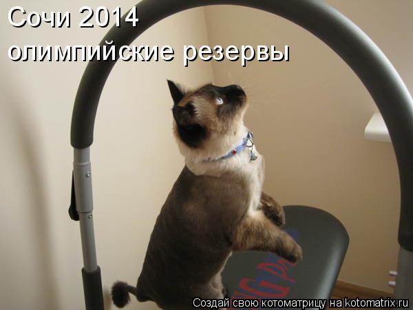 олимпийские резервы Сочи 2014... Котоматрица: олимпийские резервы Сочи 2014