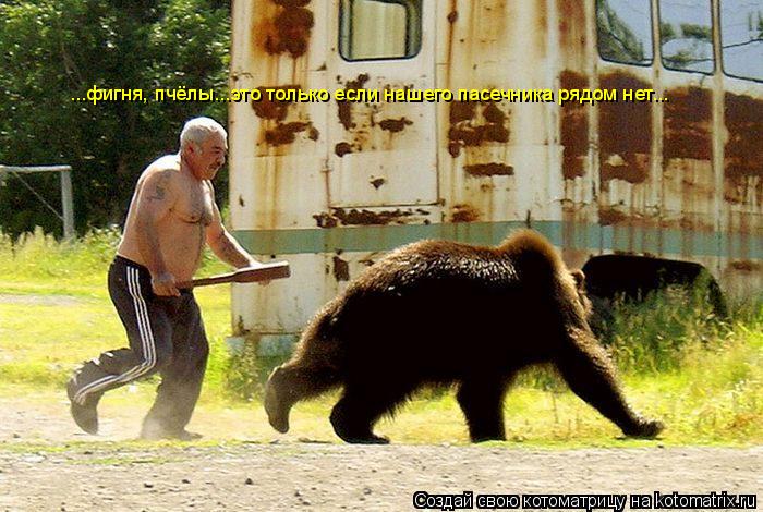 ...фигня, пчёлы...это если нашего пасечника ...фигня, пчёлы...это только если нашего пасечника рядом... Котоматрица: ...фигня, пчёлы...это если нашего пасечника ...фигня, пчёлы...это только если нашего пасечника рядом нет...