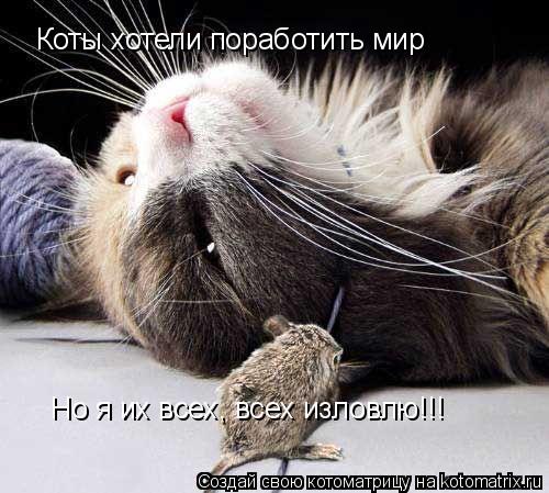 Котоматрица: Коты хотели поработить мир Но я их всех, всех изловлю!!!
