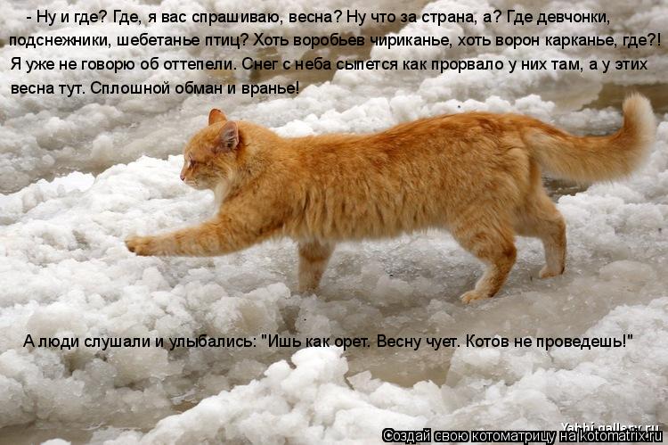 - Ну и где? Где, я вас спрашиваю, весна? Ну что за страна, а? Где девчонки, подснежники, шебетанье п... Котоматрица: - Ну и где? Где, я вас спрашиваю, весна? Ну что за страна, а? Где девчонки, подснежники, шебетанье птиц? Хоть воробьев чириканье, хоть ворон кар