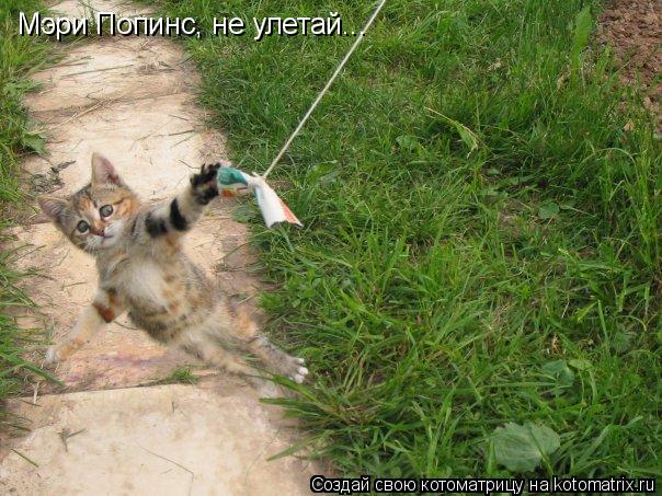 Мэри Попинс, не улетай...... Котоматрица: Мэри Попинс, не улетай...