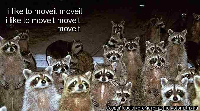 i like to moveit moveit i like to moveit moveit moveit... Котоматрица: i like to moveit moveit i like to moveit moveit moveit