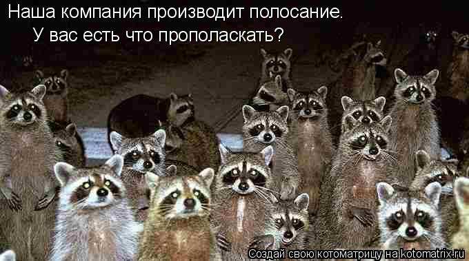 Наша компания производит полосание. У вас есть что прополаскать?... Котоматрица: Наша компания производит полосание. У вас есть что прополаскать?