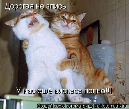 Дорогая не злись У нас ещё вискаса полно!!!... Котоматрица: Дорогая не злись У нас ещё вискаса полно!!!