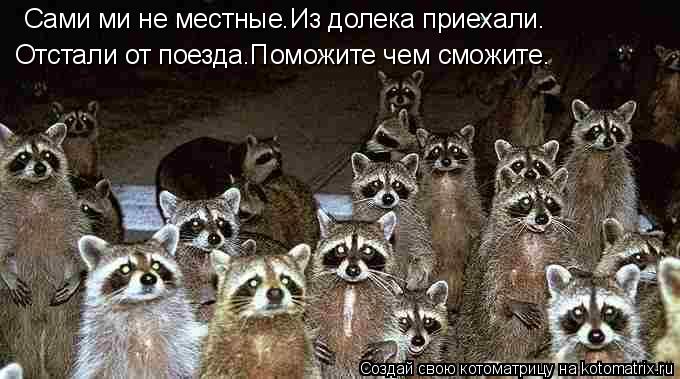 Сами ми не местные.Из долека приехали. Отстали от поезда.Поможите чем сможите.... Котоматрица: Сами ми не местные.Из долека приехали. Отстали от поезда.Поможите чем сможите.