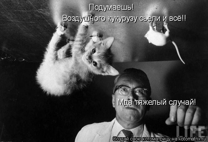 Воздушного кукурузу сьели и всё!! Подумаешь! Мда тяжелый случай!... Котоматрица: Воздушного кукурузу сьели и всё!! Подумаешь! Мда тяжелый случай!