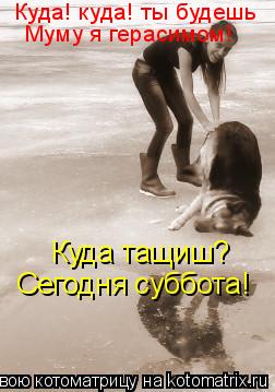 Куда тащиш? Сегодня суббота! Куда! куда! ты будешь Муму я герасимом!... Котоматрица: Куда тащиш? Сегодня суббота! Куда! куда! ты будешь Муму я герасимом!