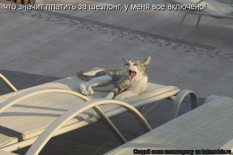 что значит платить за шезлонг, у меня все включено!... Котоматрица: что значит платить за шезлонг, у меня все включено!