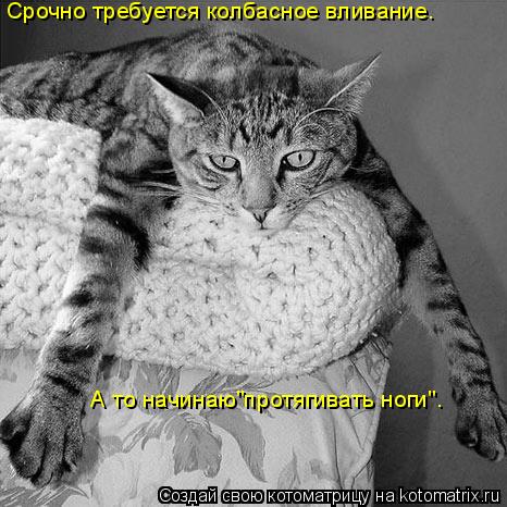 Срочно требуется колбасное вливание. А то начинаю"протягивать ноги".... Котоматрица: Срочно требуется колбасное вливание. А то начинаю"протягивать ноги".