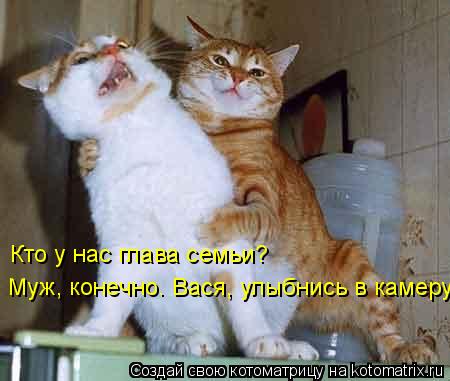 Кто у нас глава семьи? Муж, конечно. Вася, улыбнись в камеру!... Котоматрица: Кто у нас глава семьи? Муж, конечно. Вася, улыбнись в камеру!