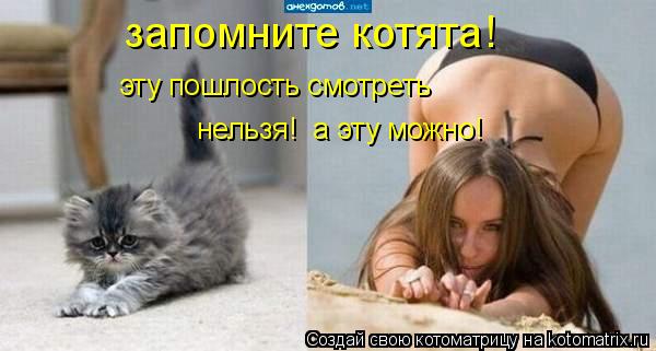 запомните котята! эту пошлость смотреть нельзя! а эту можно!... Котоматрица: запомните котята! эту пошлость смотреть нельзя! а эту можно!