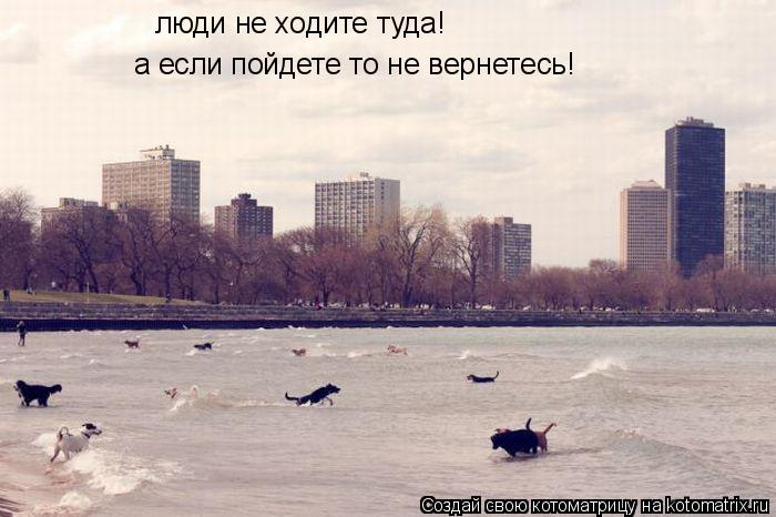 люди не ходите туда! а если пойдете то не вернетесь!... Котоматрица: люди не ходите туда! а если пойдете то не вернетесь!