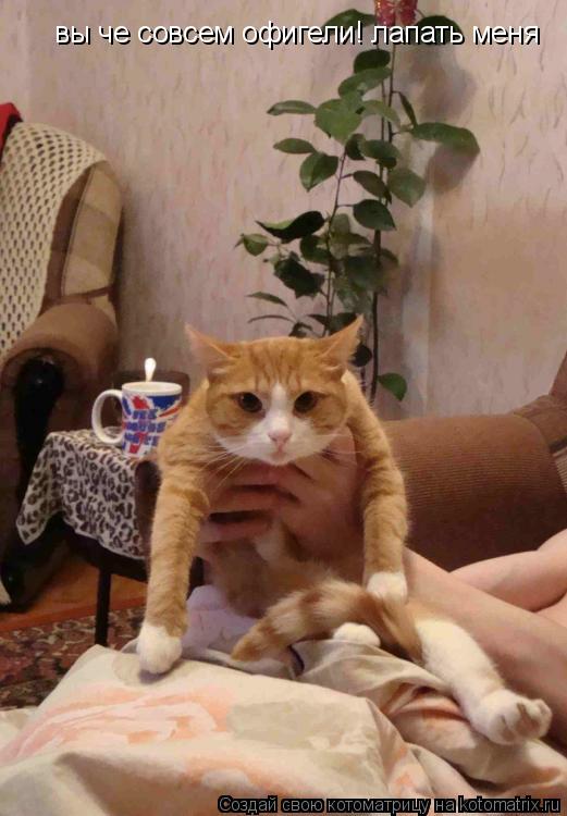 вы че совсем офигели! лапать меня... Котоматрица: вы че совсем офигели! лапать меня