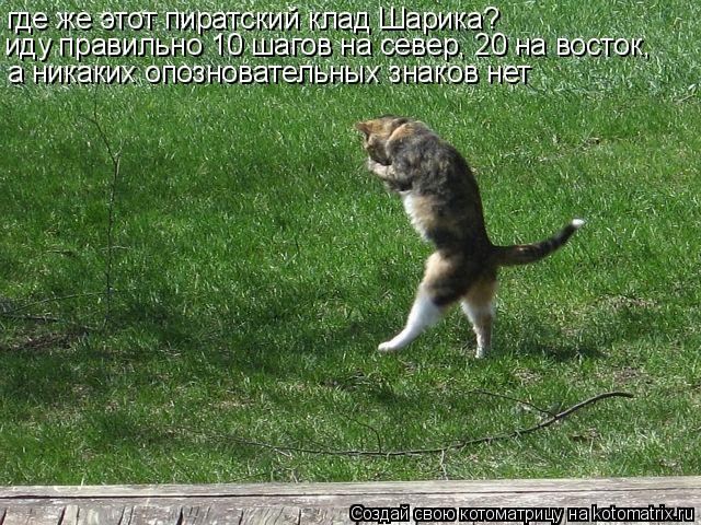 где же этот пиратский клад Шарика? иду правильно 10 шагов на север, 20 на восток, а никаких опознова... Котоматрица: где же этот пиратский клад Шарика? иду правильно 10 шагов на север, 20 на восток, а никаких опозновательных знаков нет