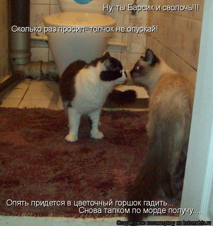 Опять придется в цветочный горшок гадить... Сколько раз просил- толчок не опускай! Ну, ты Барсик и св... Котоматрица: Опять придется в цветочный горшок гадить... Сколько раз просил- толчок не опускай! Ну, ты Барсик и сволочь!!! Снова тапком по морде получу....